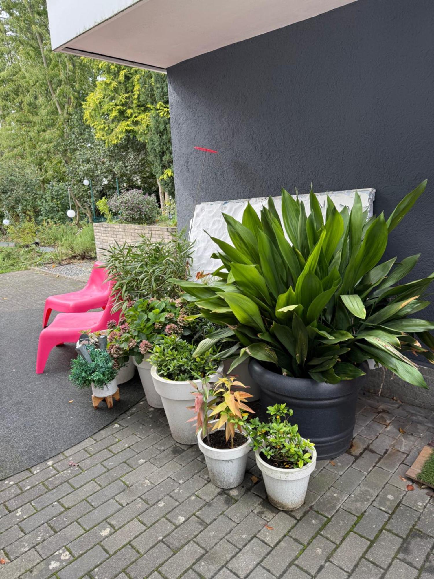 Modernes 1 Zimmerapartment Nahe Frankfurt Am Main هويزنشتام المظهر الخارجي الصورة